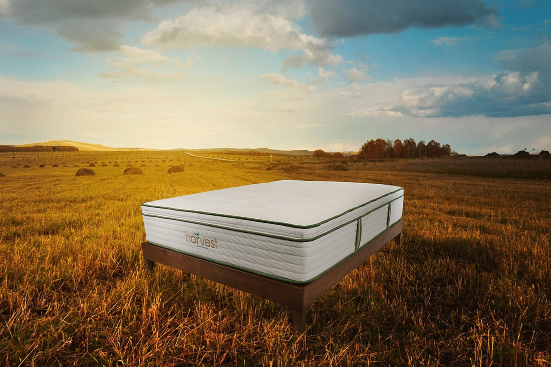 HARVEST GREEN ORGANIC Pillowtop Mattress